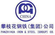 攀枝花鋼鐵集團(tuán)